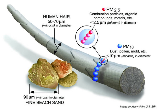 Comparative sizes of different particulate matter compared to the human hair